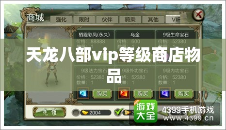 天龙八部vip等级商店物品