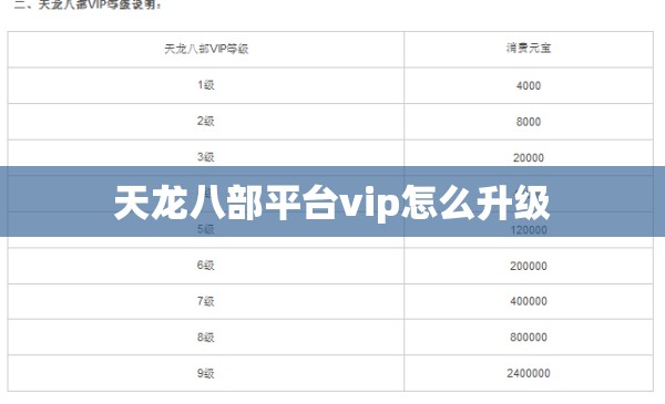 天龙八部平台vip怎么升级