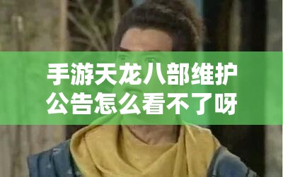 手游天龙八部维护公告怎么看不了呀