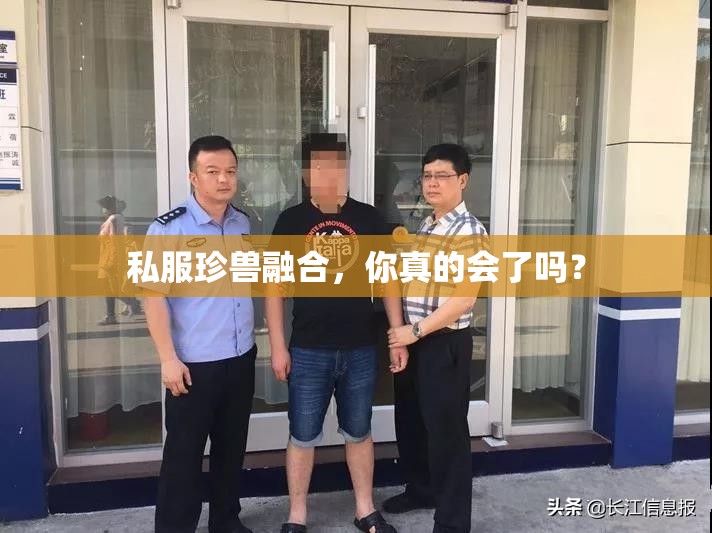 私服珍兽融合，你真的会了吗？