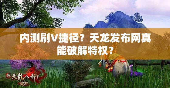 内测刷V捷径？天龙发布网真能破解特权？