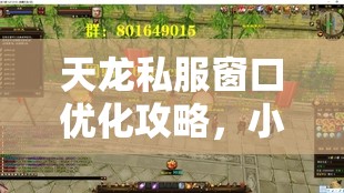 天龙私服窗口优化攻略，小屏显示技巧大全