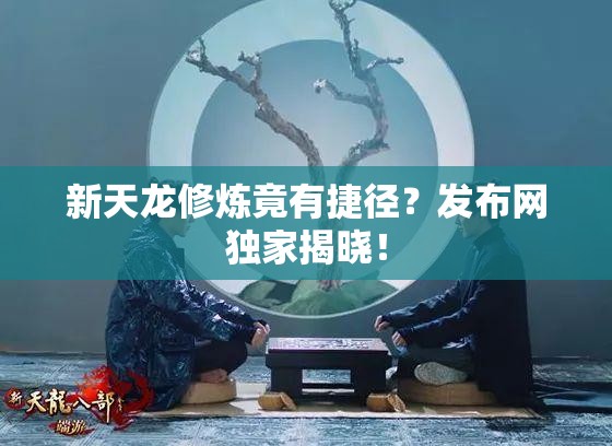 新天龙修炼竟有捷径？发布网独家揭晓！