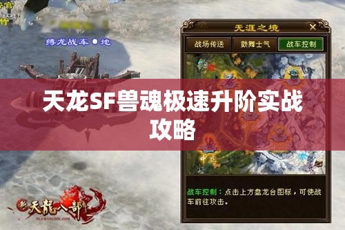 天龙SF兽魂极速升阶实战攻略