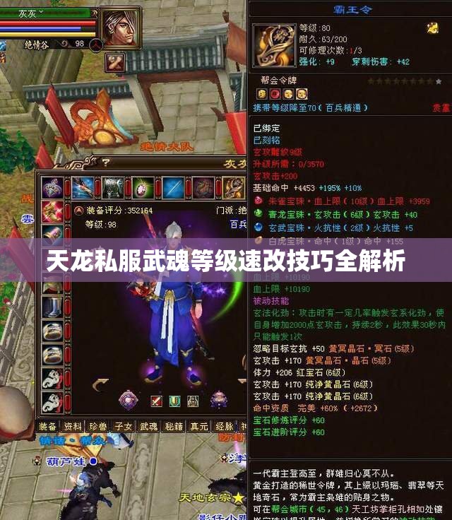 天龙私服武魂等级速改技巧全解析