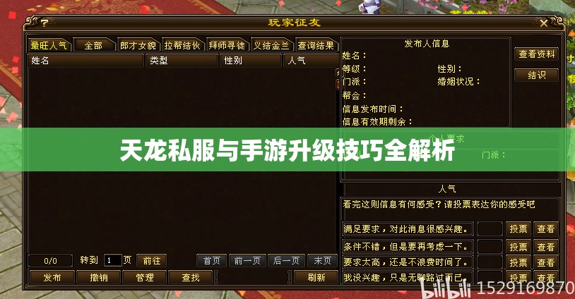 天龙私服与手游升级技巧全解析