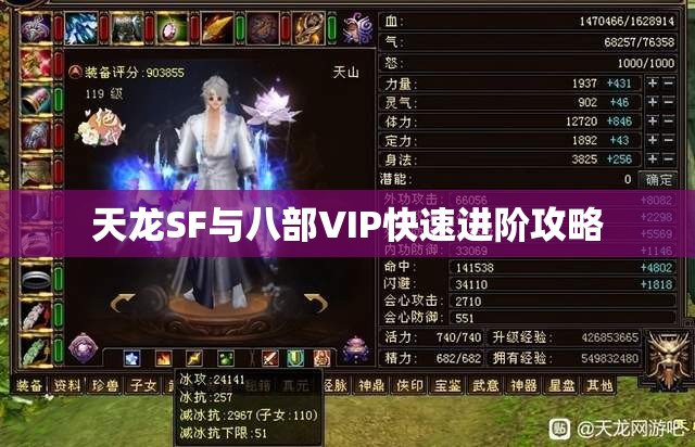 天龙SF与八部VIP快速进阶攻略